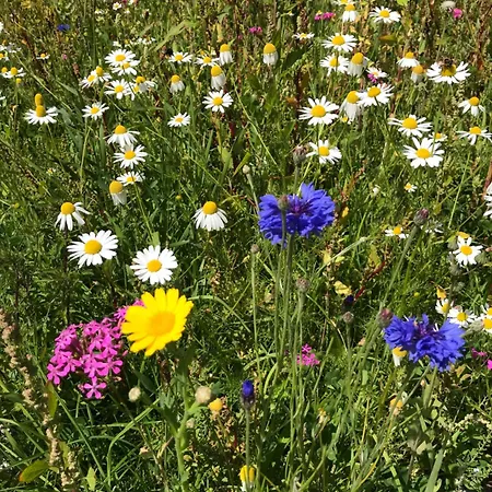 Da Sandra E Fulvio דירה *