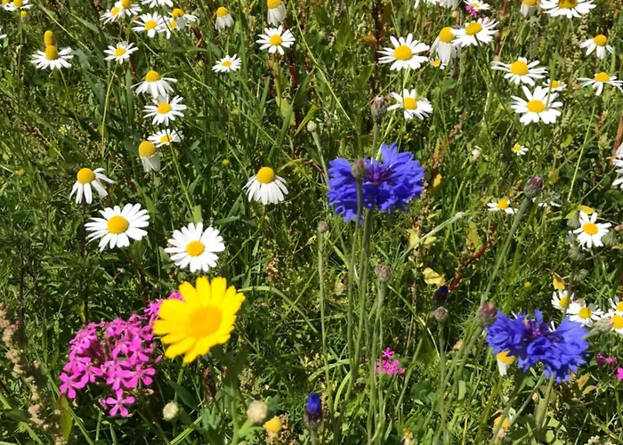 Da Sandra E Fulvio Apartament *