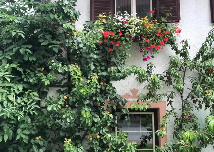 Apartament Da Sandra E Fulvio *