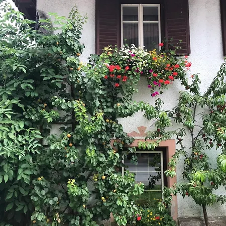 Appartement Da Sandra E Fulvio *