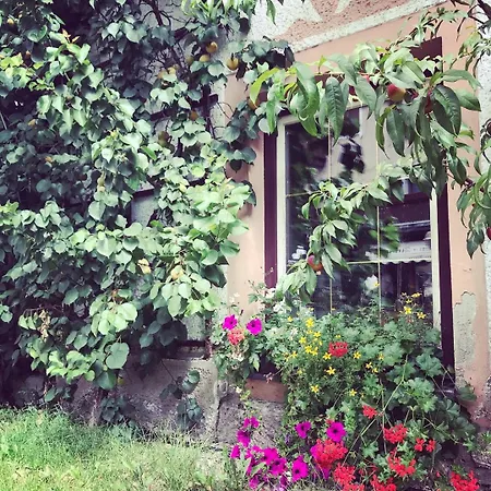 Da Sandra E Fulvio